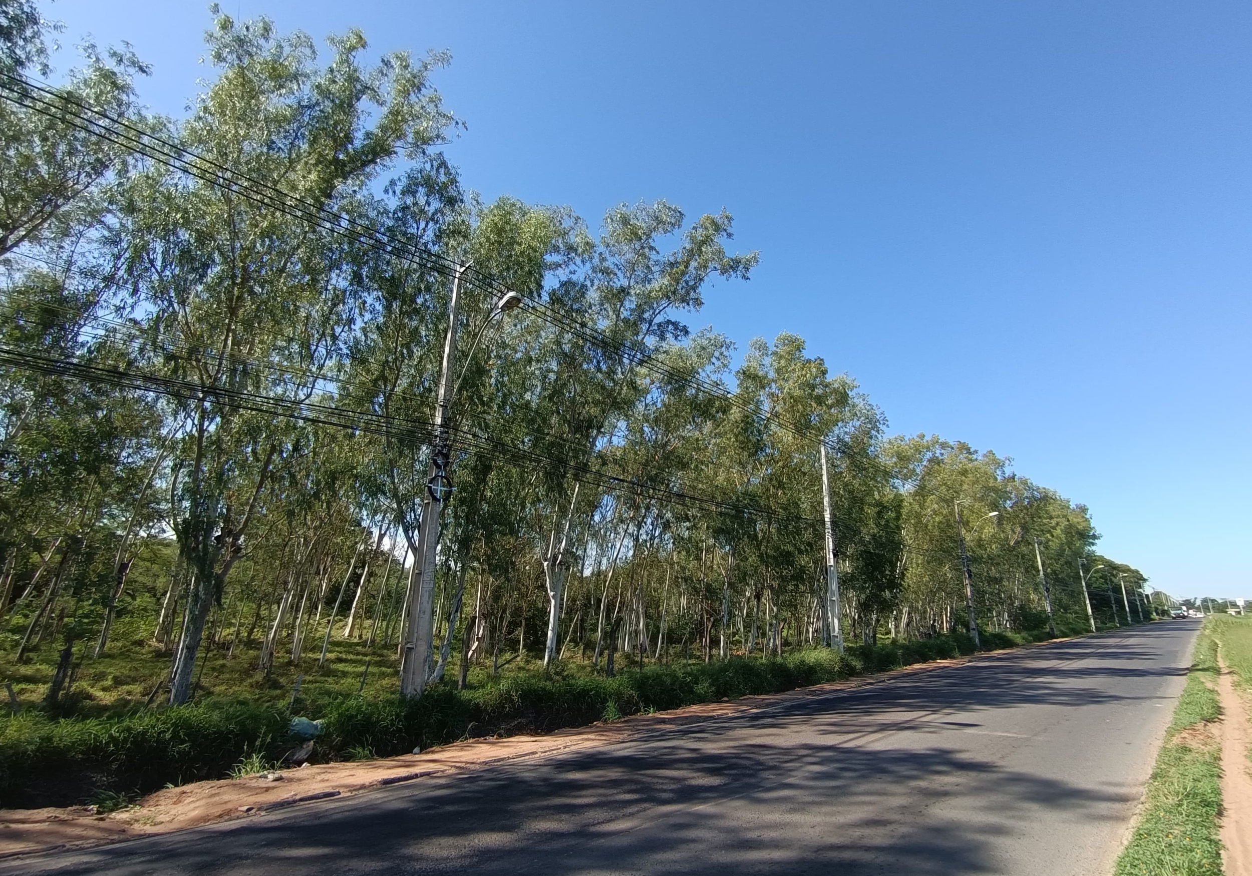 Trreno Luque - Ruta Departamental D025